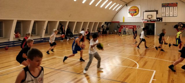 stadi p07 harjoitukset